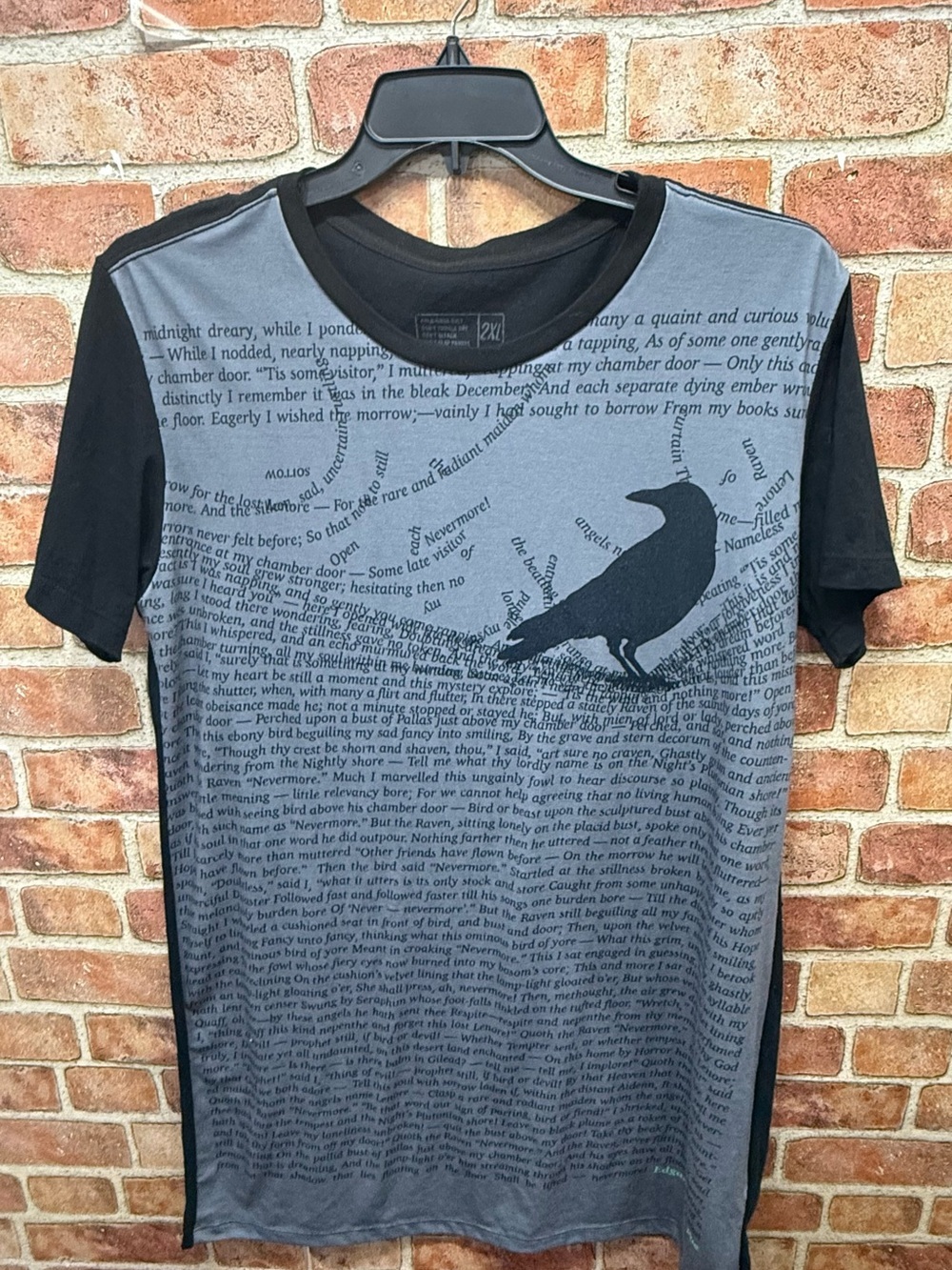 Whimsigoth dark academia goblincore witchy  Raven Text Print T-shirt dress/sleep